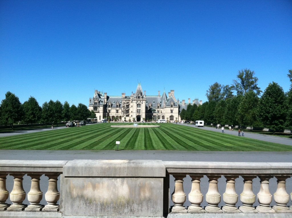 That sure is some green grass.